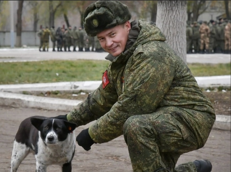 Мандатная лихорадка Холина