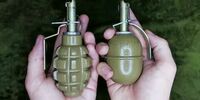 Школьников обеспечат полтысячей гранат