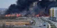 Администрацию Черноречья оштрафовали за отсутствие минерализованных полос