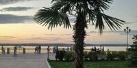 Участок самарской набережной возле «Струкачей» решили не передавать частнику