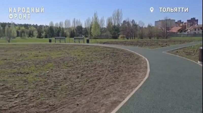 В тольяттинском дендропарке обошлись без озеленения