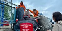В лесу на острове Поджабном спасли 88-летнего потерявшегося грибника