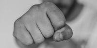 Бастрыкин заинтересовался массовой дракой в Сызрани
