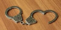 Евгения Кальченко отправили под домашний арест