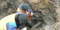 В Самаре 80 многоквартирных домов были подключены к воде кое-как