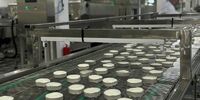 Самарская область освоит 22 млн рублей, выделенных на поддержку малого и среднего бизнеса