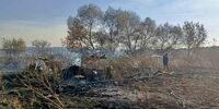 В Рачейском лесничестве снова сгорел лес