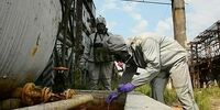 Самарская область очистится и обезвредится